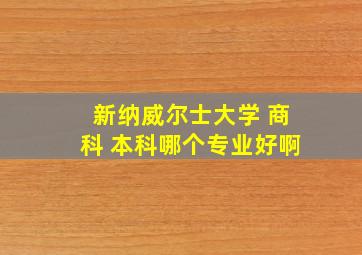 新纳威尔士大学 商科 本科哪个专业好啊